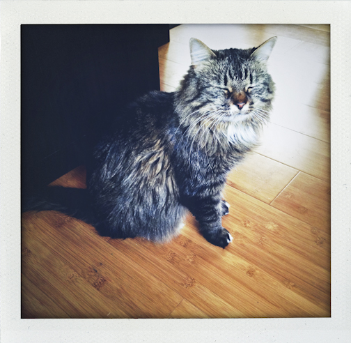 weekinfotos120114-19