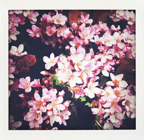 latelymay2015-web-47