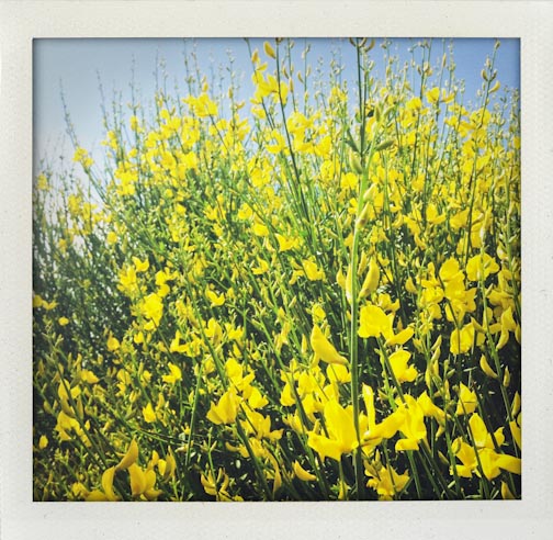 latelymay2015-web-49