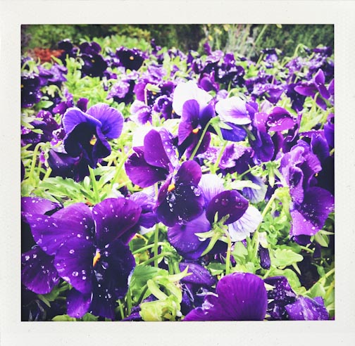 latelymay2015-web-52