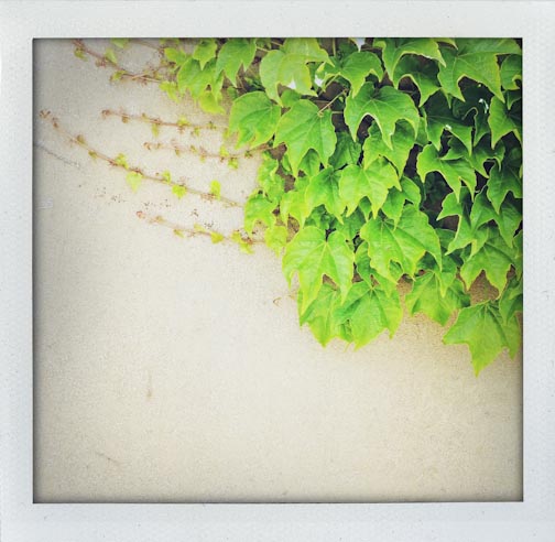 latelymay2015-web-55