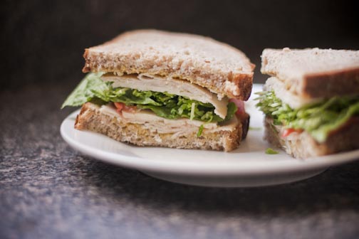 perfectturkeysammy-1