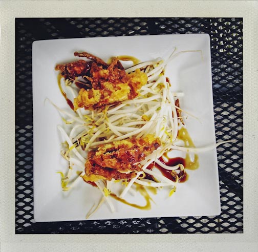 summerupdate082015-21