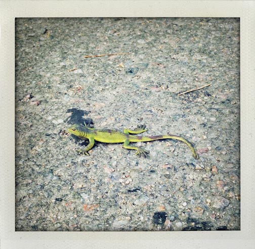 summerupdate082015-23