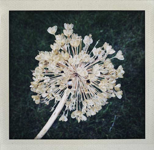 summerupdate082015-26