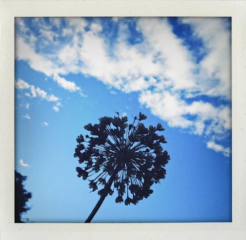 summerupdate082015-27