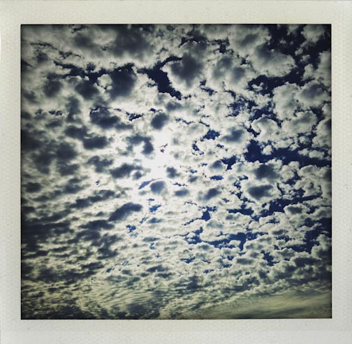 summerupdate082015-46