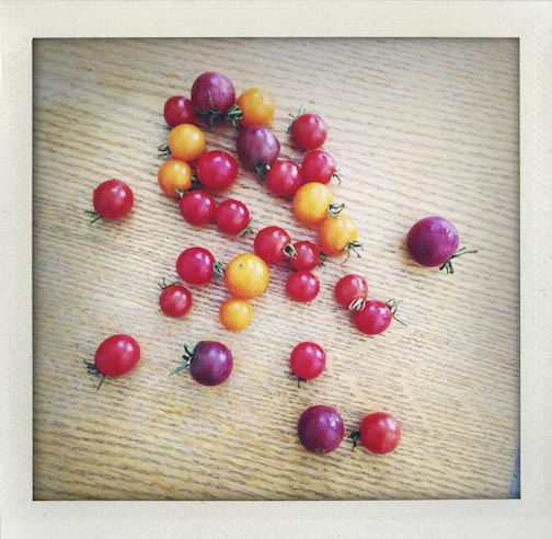 summerupdate082015-49