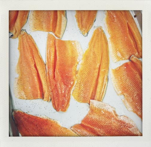 summerupdate082015-7