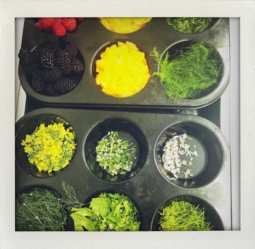 summerupdate082015-8