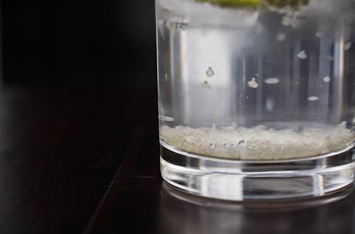 creepyfingerlimesoda-11