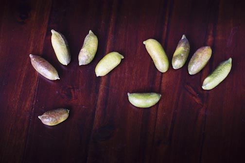 creepyfingerlimesoda-2