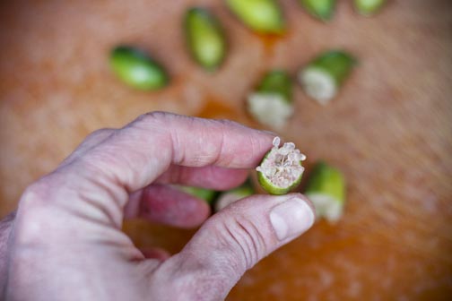 creepyfingerlimesoda-3