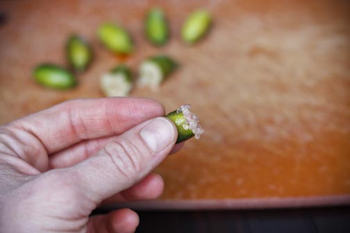 creepyfingerlimesoda-4