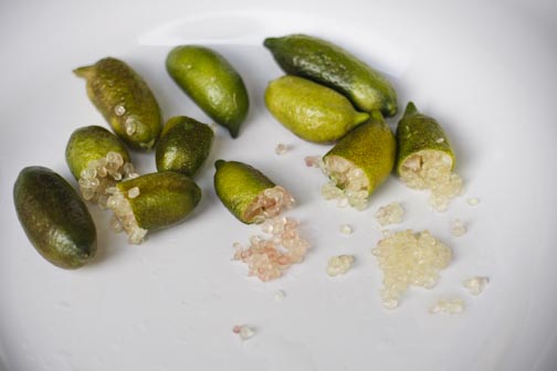 creepyfingerlimesoda-7