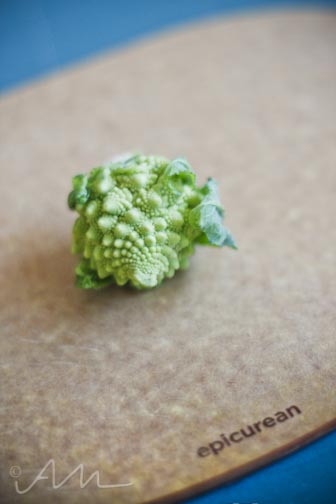 babyromanesco-2