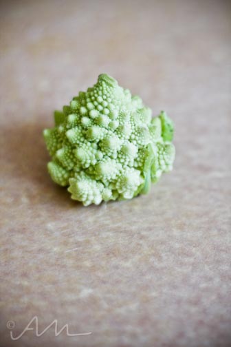 babyromanesco-5