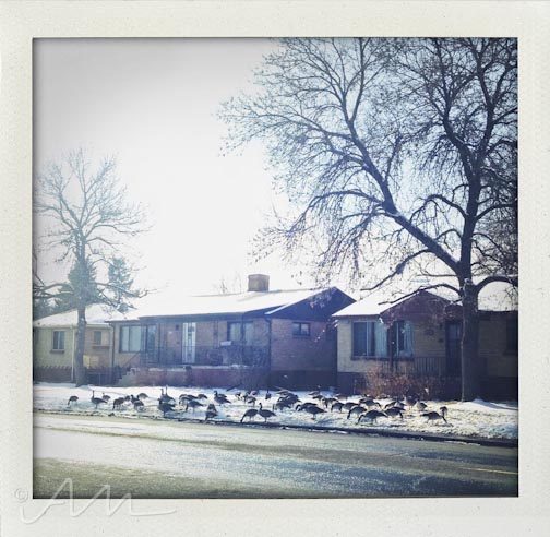 thingsthatremindmeofnyc-1