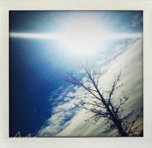 walkaroundthelake-10