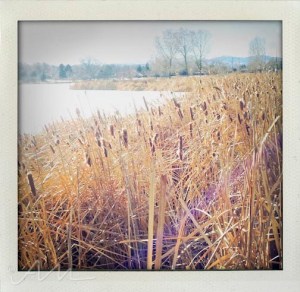 walkaroundthelake-12