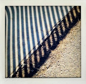 walkaroundthelake-21