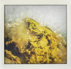 walkaroundthelake-23