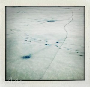 walkaroundthelake-24