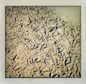 walkaroundthelake-27