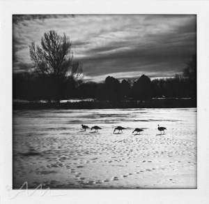 walkaroundthelake-28