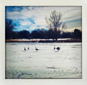 walkaroundthelake-29