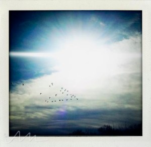 walkaroundthelake-30