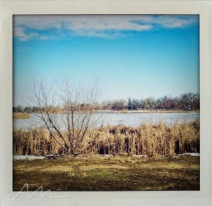 walkaroundthelake-31