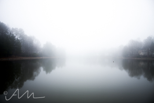 fog-3